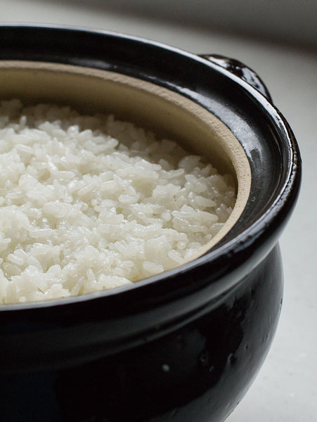 Koiga Iga Earthenware Donabe Double Lid Rice Cooker