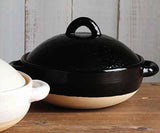 Ame-yu Small Donabe Clay Pot