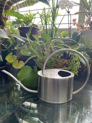 Stainless Steel Watering Can by Nagao