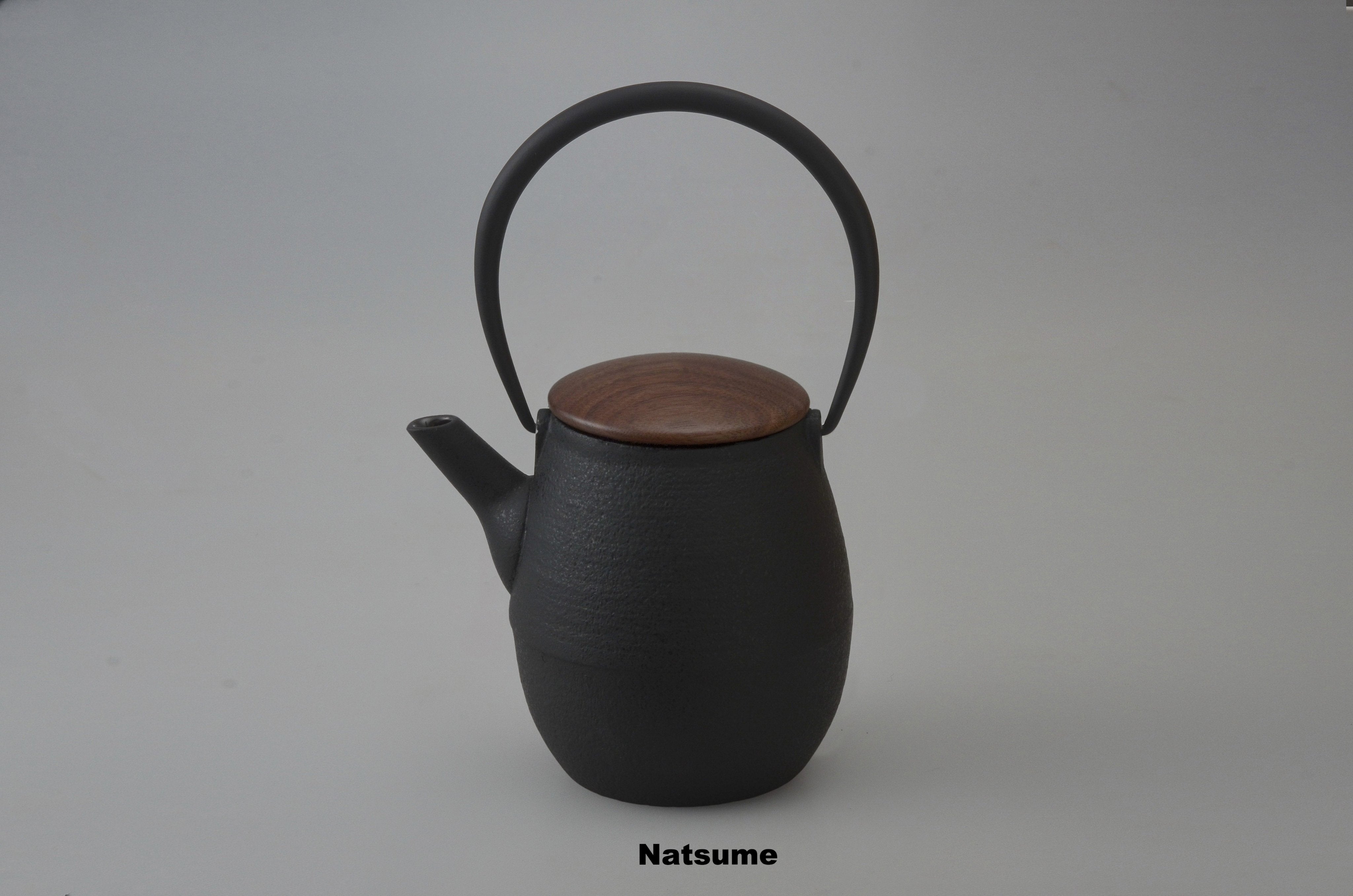 Cast Iron Teapot by Hisanori Masuda