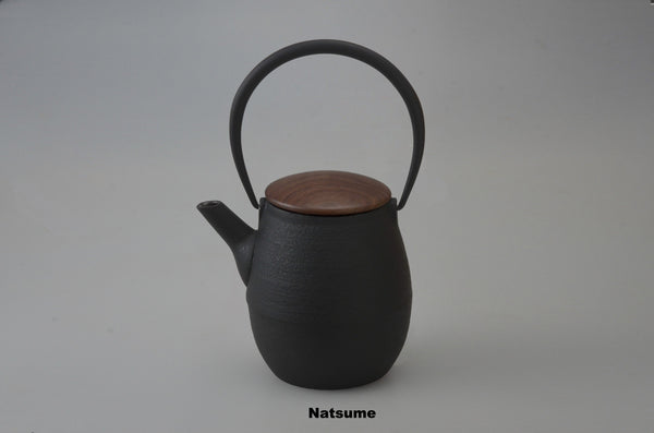 Cast Iron Teapot by Hisanori Masuda
