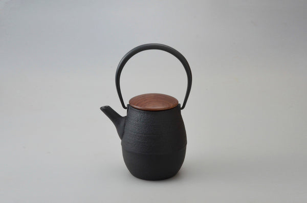 Cast Iron Teapot by Hisanori Masuda